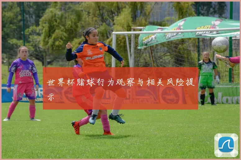 世界杯赌球行为观察与相关风险提示